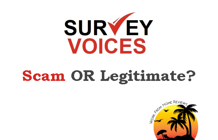 Survey Voices Review – Is It a Scam or Legit?