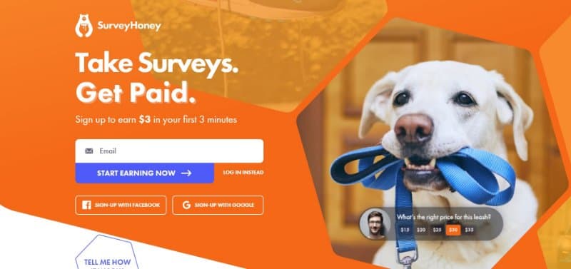 SurveyHoney Website