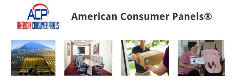American Consumer Panels Process