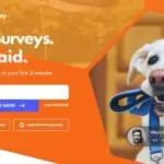 SurveyHoney Website