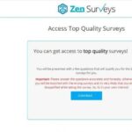 ZenSurveys Review