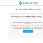 ZenSurveys Review
