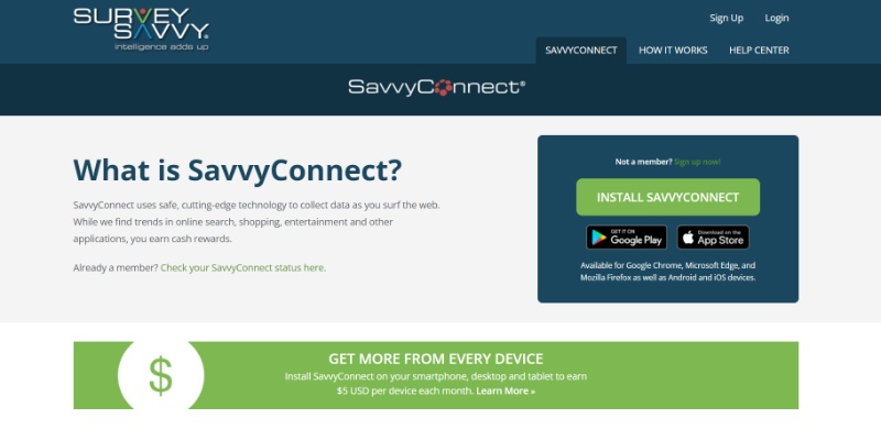 Savvy Connect Website