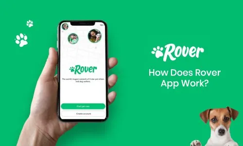 Rover app on mobile