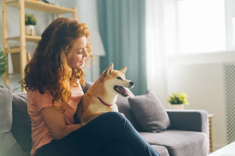 Pretty Redhead Woman Is Hugging Cute Doggy Sitting On Couch In Apartment Smiling Enjoying Beautiful Day With Beloved Animal